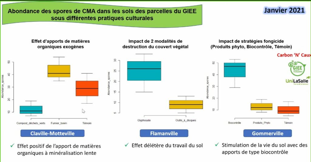 Abondance des spores de CM dans les sols des parcelles du GIEE sous différentes pratiques culturales