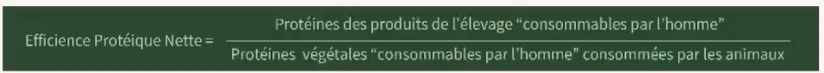 Calcul de l'efficience protéique nette