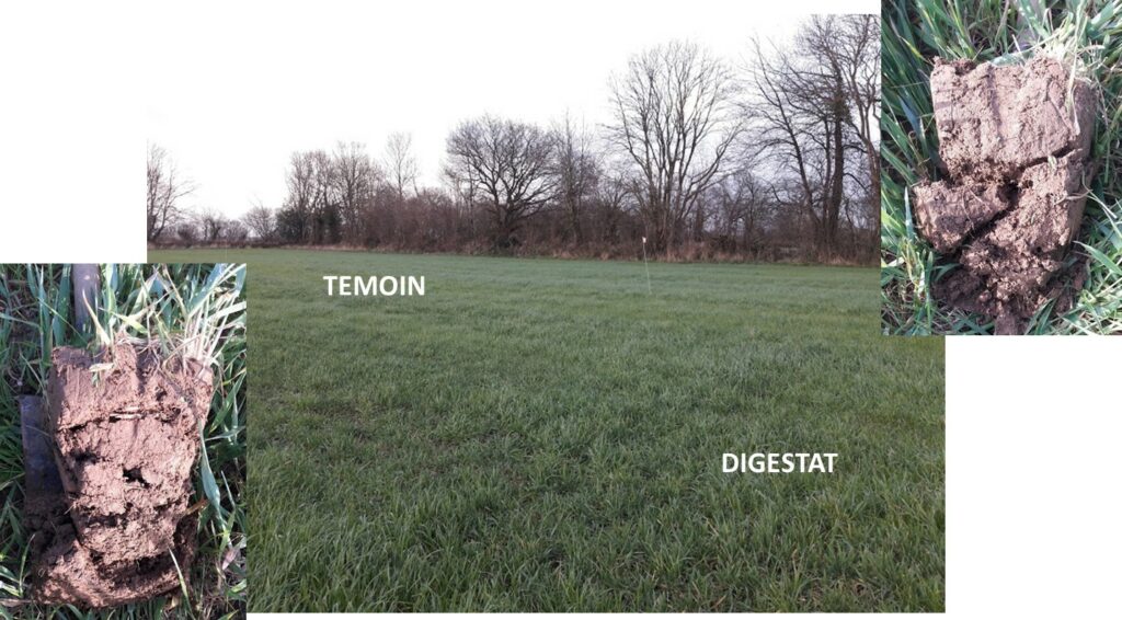 Photo des essais menés chez nos agriculteurs sur l'impact du digestats du la biologie des sols