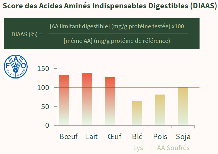 Score des Acides Aminés Indispensables Digestibles (DIAAS)