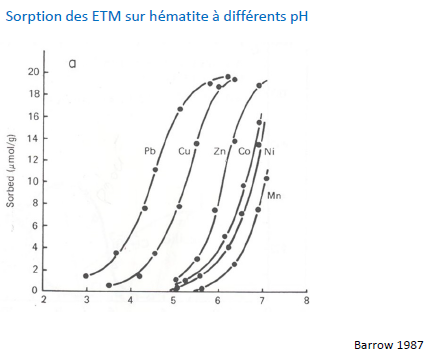 Sorption des ETM sur hématie à différents pH