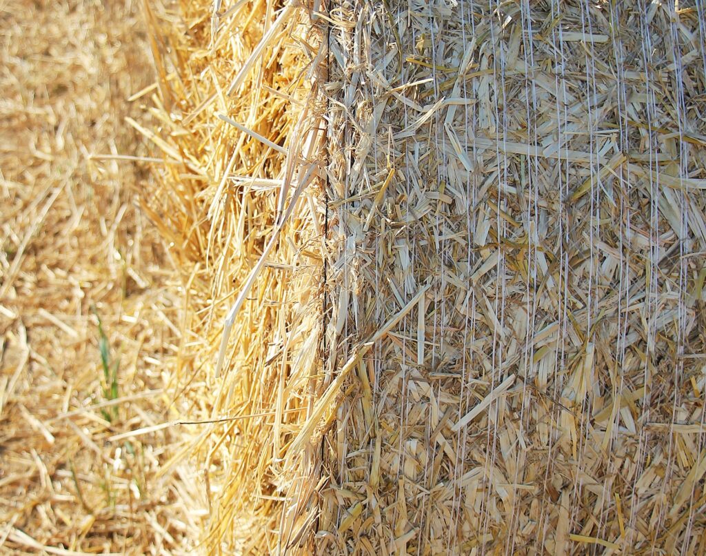 Bioéconomie, le fondement d’un nouveau régime de croissance pour l’agriculture ?  