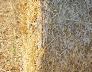 bioéconomie et agriculture
