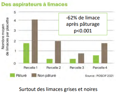 Des aspirateurs à limaces grises et noires