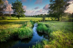 Prairie circulation eau
