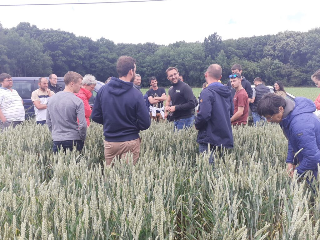 Groupe Dephy Ecophyto sud Manche