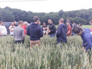 Groupe Dephy Ecophyto sud Manche