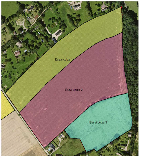 Parcelles des essais de colza associé
