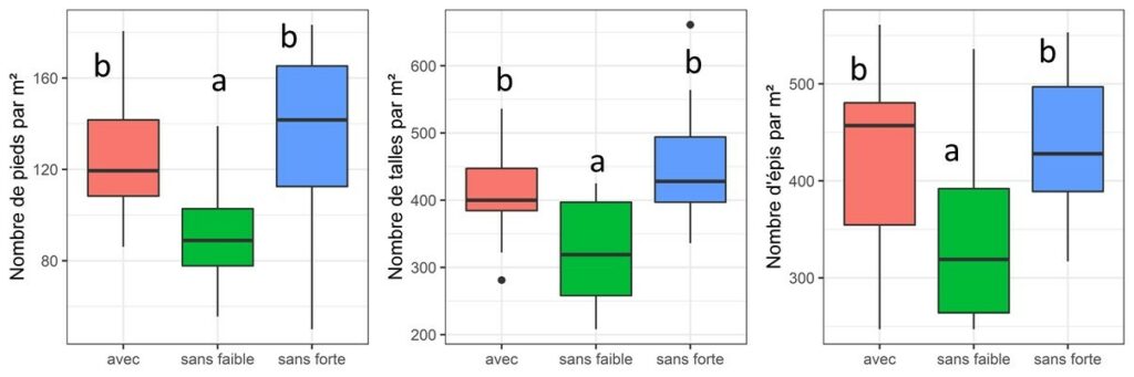 Comparaison des composantes de rendement (nombre de pieds/m², nombre de talles/m² et nombre d’épis/m²) pour les trois modalités « avec », « sans faible² » et « sans forte » pour l’année 2019-2020