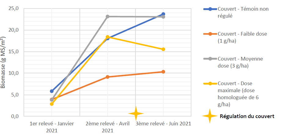 Evolution de la biomasse du couvert en gramme de matière sèche par m² (g MS/m²), en fonction des différentes modalités de régulation (quantités données en gramme de metsulfuron-methyl par hectare) sur les parcelles Régulation.      