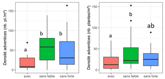 Evolution de la densité des adventices entre le relevé réalisé en octobre 2019 (à gauche) et le relevé de février 2020 (à droite) pour les trois modalités « avec », « sans faible » et « sans forte » 