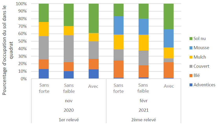 Taux de couverture du sol par les adventices, blé et trèfle pour les deux dates de relevés pour les trois modalités « avec », « sans faible » et « sans forte »      