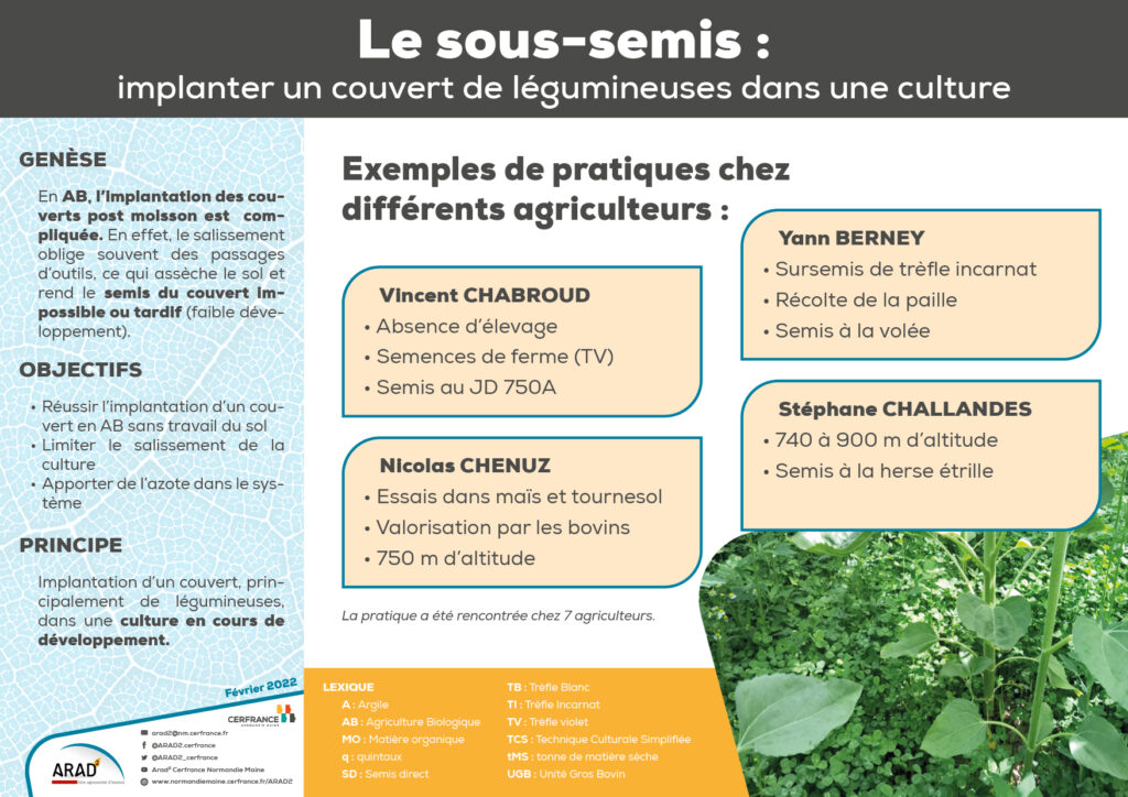 Le sous-semis : implanter un couvert de légumineuses dans une culture