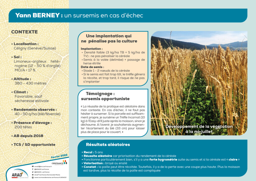 Yann BERNEY : un sursemis en cas d’échec