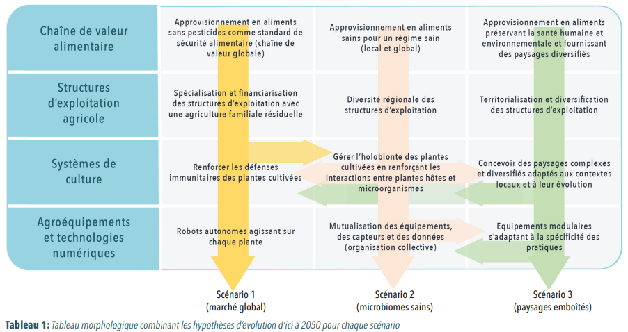 Présentation des trois scénarios élaborés dans le cadre de la prospective