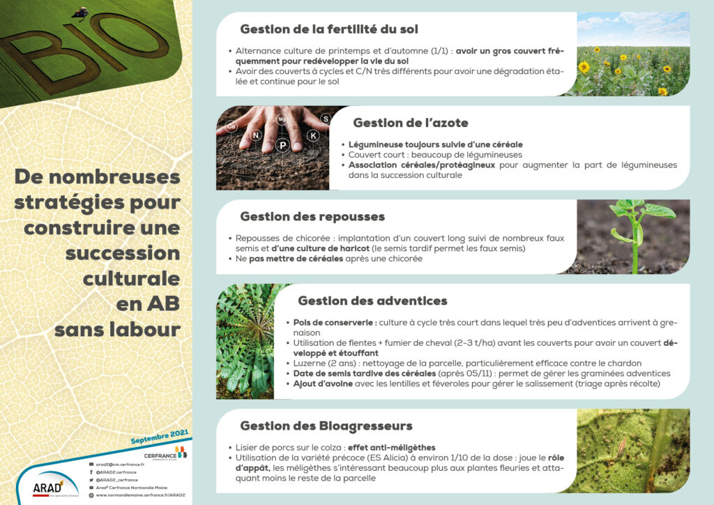 De nombreuses stratégies pour construire une succession culturale en AB sans labour