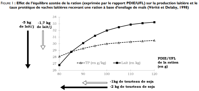 Effet de l'équilibre azotée de la ration suir la production laitière et le taux protéique de vaches laitières recevant une ration à base d'ensilage de maïs