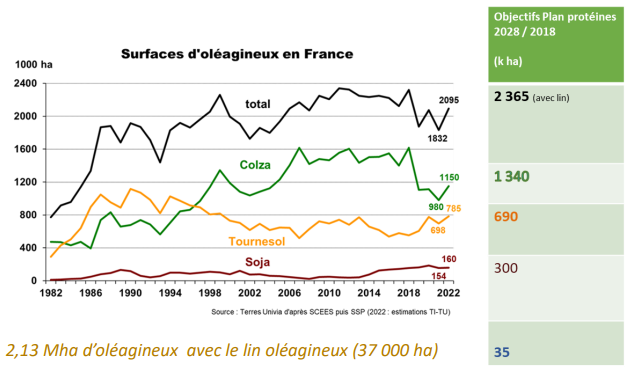Les surfaces françaises d’oléoprotéagineux ont atteint depuis 40 ans un plateau autour de 2,5 millions d’hectares