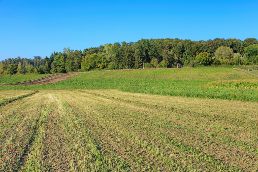 Les conseillers agronomes partent en Suisse