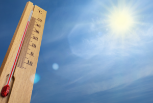 stress thermique et vaches laitières