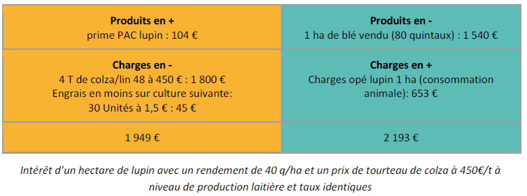 intérêt économique hectare de lupin