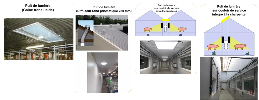 aménagement bâtiments porcs