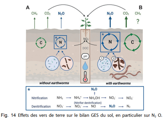 effet vers de terre sur bilan GES