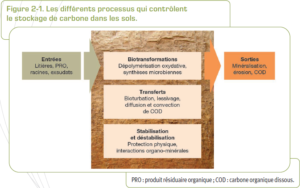 processus stockage carbone