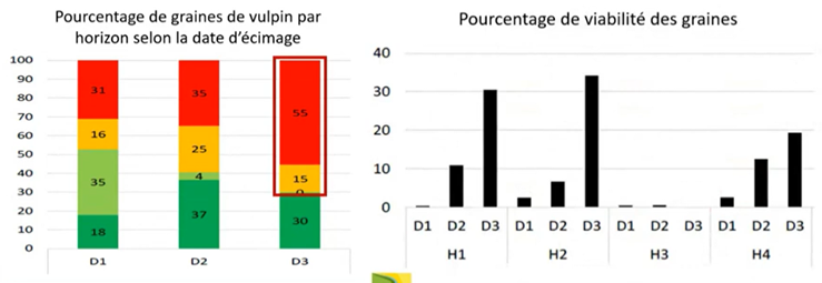 essai ecimage vulpins