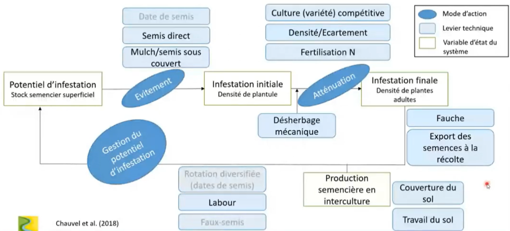 leviers de gestion du vulpin