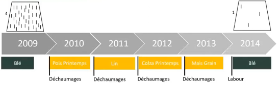 succession deux cultures printemps pour gerer vulp