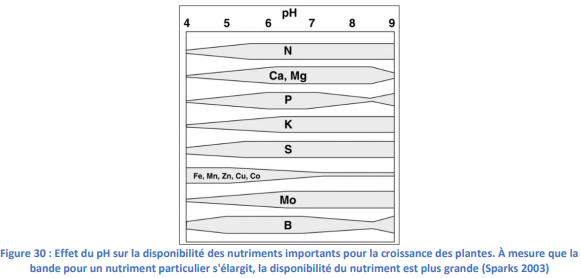 L’effet du pH sans la disponibilité des éléments.