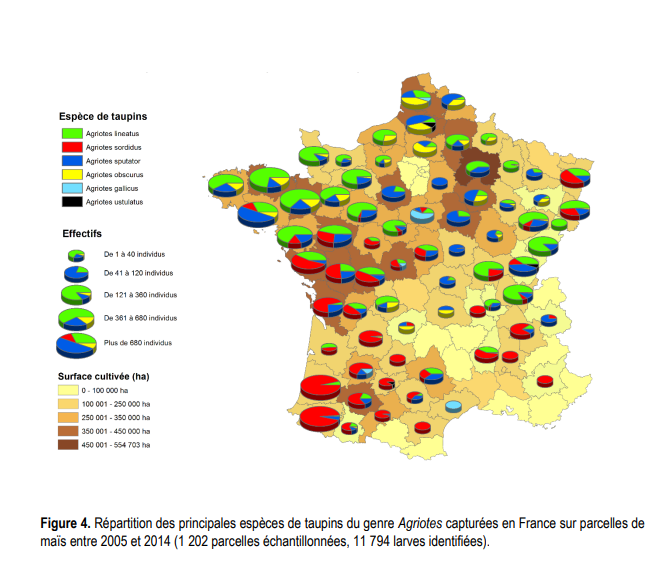 Répartition géographique des espèces de taupins en France