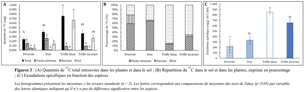 Des différences de rhizodéposition de carbone entre espèces de fabacées