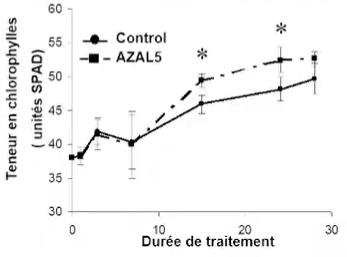 effet AZAL-5 sur la photosynthèse