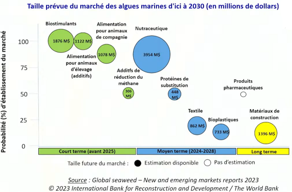 marche-algues-2030