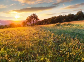 prairies PME PMV
