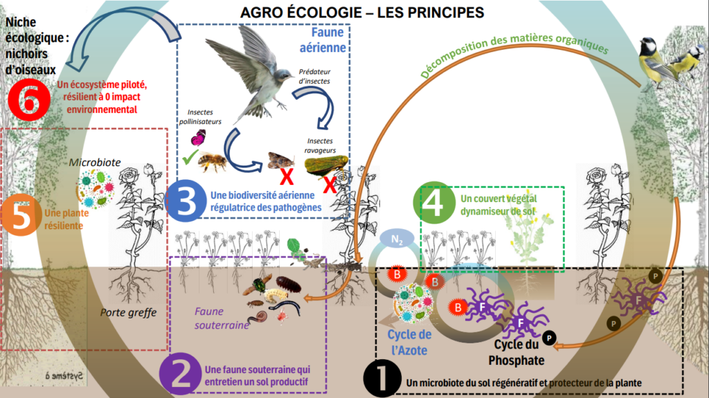 Les principes e lagroécologie