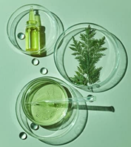 cosmétique et agriculture
