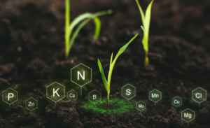 Evolution fertilité chimique sols