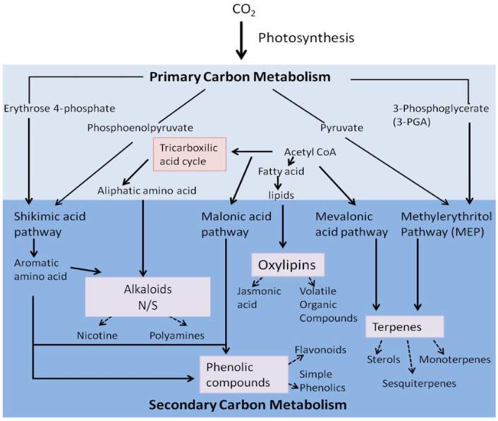 Les limites actuelles de l’utilisation des métabolites secondaires des plantes dans une stratégie de protection agroécologique