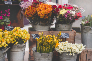 horticulture