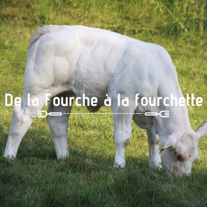 FAF Février 2022