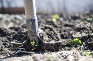 Agriculture de conservation