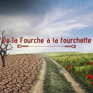 Fourche à la fourchette mai 2022
