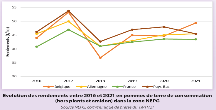 Evolution des rendements entre 2016 et 2021 en pommes de terre de consomation dans la zone NEPG.
