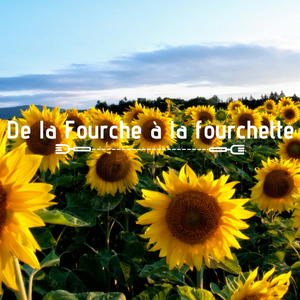 Fourche à la Fourchette Juin 2022