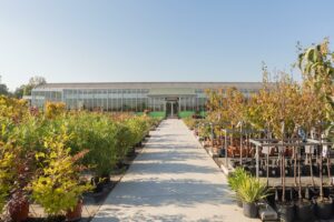 Enjeux filière horticulutre et pépinières
