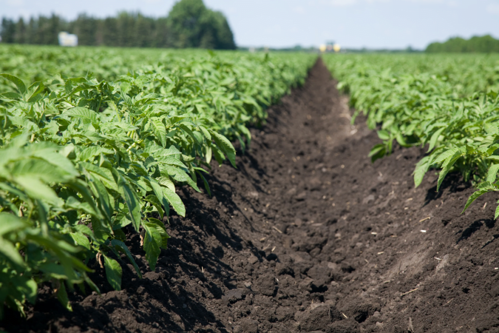 L'agriculture française