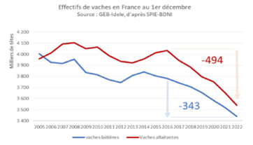 Effectifs de vaches en France au 1er décembre 